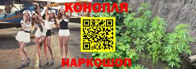 стафф Будённовск